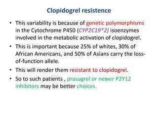 Clopidogrel resistence
• This variability is because of genetic polymorphisms
in the Cytochrome P450 (CYP2C19*2) isoenzymes
involved in the metabolic activation of clopidogrel.
• This is important because 25% of whites, 30% of
African Americans, and 50% of Asians carry the loss-
of-function allele.
• This will render them resistant to clopidogrel.
• So to such patients , prasugrel or newer P2Y12
inhibitors may be better choices.
 