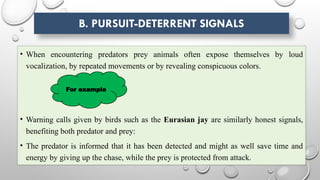 B. PURSUIT-DETERRENT SIGNALS
• When encountering predators prey animals often expose themselves by loud
vocalization, by repeated movements or by revealing conspicuous colors.
• Warning calls given by birds such as the Eurasian jay are similarly honest signals,
benefiting both predator and prey:
• The predator is informed that it has been detected and might as well save time and
energy by giving up the chase, while the prey is protected from attack.
For example
 