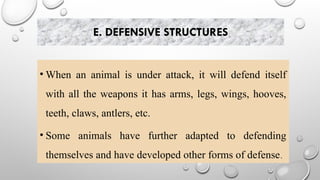 E. DEFENSIVE STRUCTURES
• When an animal is under attack, it will defend itself
with all the weapons it has arms, legs, wings, hooves,
teeth, claws, antlers, etc.
• Some animals have further adapted to defending
themselves and have developed other forms of defense.
 