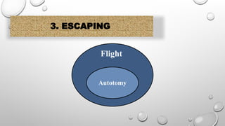 3. ESCAPING
Flight
Autotomy
 
