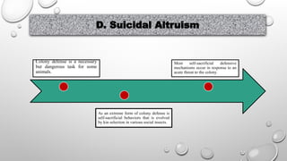 D. Suicidal Altruism
Colony defense is a necessary
but dangerous task for some
animals.
As an extreme form of colony defense is
self-sacrificial behaviors that is evolved
by kin selection in various social insects.
Most self-sacrificial defensive
mechanisms occur in response to an
acute threat to the colony.
 