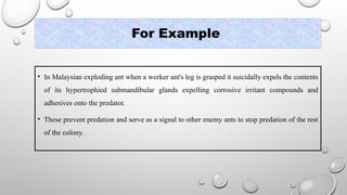 For Example
• In Malaysian exploding ant when a worker ant's leg is grasped it suicidally expels the contents
of its hypertrophied submandibular glands expelling corrosive irritant compounds and
adhesives onto the predator.
• These prevent predation and serve as a signal to other enemy ants to stop predation of the rest
of the colony.
 