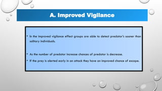 A. Improved Vigilance
• In the improved vigilance effect groups are able to detect predator’s sooner than
solitary individuals.
• As the number of predator increase chances of predator is decrease.
• If the prey is alerted early in an attack they have an improved chance of escape.
 