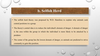b. Selfish Herd
• The selfish herd theory was proposed by W.D. Hamilton to explain why animals seek
central positions in a group.
• The theory's central idea is to reduce the individual's domain of danger. A domain of danger
is the area within the group in which the individual is more likely to be attacked by a
predator.
• The center of the group has the lowest domain of danger, so animals are predicted to strive
constantly to gain this position.
 