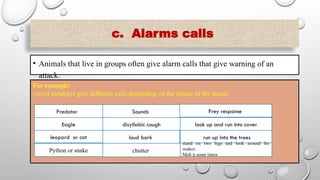 c. Alarms calls
• Animals that live in groups often give alarm calls that give warning of an
attack.
For example:
vervet monkeys give different calls depending on the nature of the attack.
Predator Sounds Prey response
Eagle disyllabic cough look up and run into cover
leopard or cat loud bark run up into the trees
Python or snake chutter
stand on two legs and look around for
snakes .
Mob it some times
 