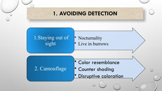 1. AVOIDING DETECTION
• Nocturnality
• Live in burrows
1.Staying out of
sight
• Color resemblance
• Counter shading
• Disruptive coloration
2. Camouflage
 