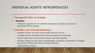 INDIVIDUAL AGENTS: NITROIMIDAZOLE
• Therapeutic Uses & Dosage:
3. Giardiasis:
• Tinidazole is approved for the treatment of giardiasis as a single 2-g dose and is
appropriate first-line therapy.
• Toxicities and Contraindications:
• Headache, nausea, dry mouth, and a metallic taste are common.
• Vomiting, diarrhea, and abdominal distress are experienced occasionally.
• Dysuria, cystitis, and a sense of pelvic pressure have been reported.
• Dizziness, vertigo, and, very rarely, encephalopathy, convulsions, incoordination, and ataxia
are neurotoxic effects that warrant drug discontinuation.
• Hypersensitivity reactions.
 