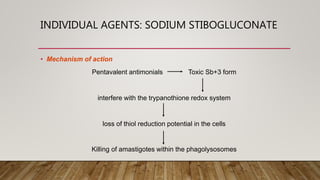 INDIVIDUAL AGENTS: SODIUM STIBOGLUCONATE
• Mechanism of action
Pentavalent antimonials Toxic Sb+3 form
interfere with the trypanothione redox system
loss of thiol reduction potential in the cells
Killing of amastigotes within the phagolysosomes
 