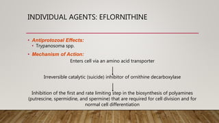 INDIVIDUAL AGENTS: EFLORNITHINE
• Antiprotozoal Effects:
• Trypanosoma spp.
• Mechanism of Action:
Enters cell via an amino acid transporter
Irreversible catalytic (suicide) inhibitor of ornithine decarboxylase
Inhibition of the first and rate limiting step in the biosynthesis of polyamines
(putrescine, spermidine, and spermine) that are required for cell division and for
normal cell differentiation
 