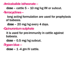 -Amicabalide istheonate –
dose – cattle 5 – 10 mg/kg IM or subcut.
-T
erracyclines–
long acting formulation are used for prophylaxis
of babesia.
dose – 20 mg/kg every 4 days.
-Quinuroniumsulphate
it is used for pre-immunity in cattle against
babesia.
dose – 0.5 mg/kg subcut.
-T
rypanblue –
dose – 1 -4 gm IV cattle.
 
