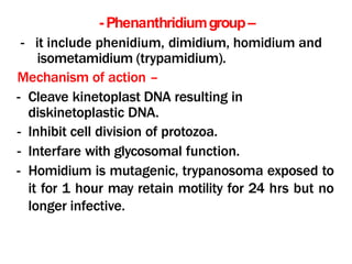 - Phenanthridiumgroup–
- it include phenidium, dimidium, homidium and
isometamidium (trypamidium).
Mechanism of action –
- Cleave kinetoplast DNA resulting in
diskinetoplastic DNA.
- Inhibit cell division of protozoa.
- Interfare with glycosomal function.
- Homidium is mutagenic, trypanosoma exposed to
it for 1 hour may retain motility for 24 hrs but no
longer infective.
 