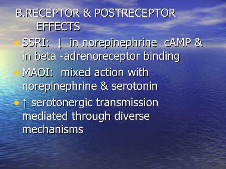 Amoxapine Drug Action