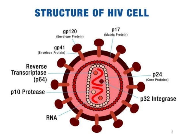 hiv retrovirus