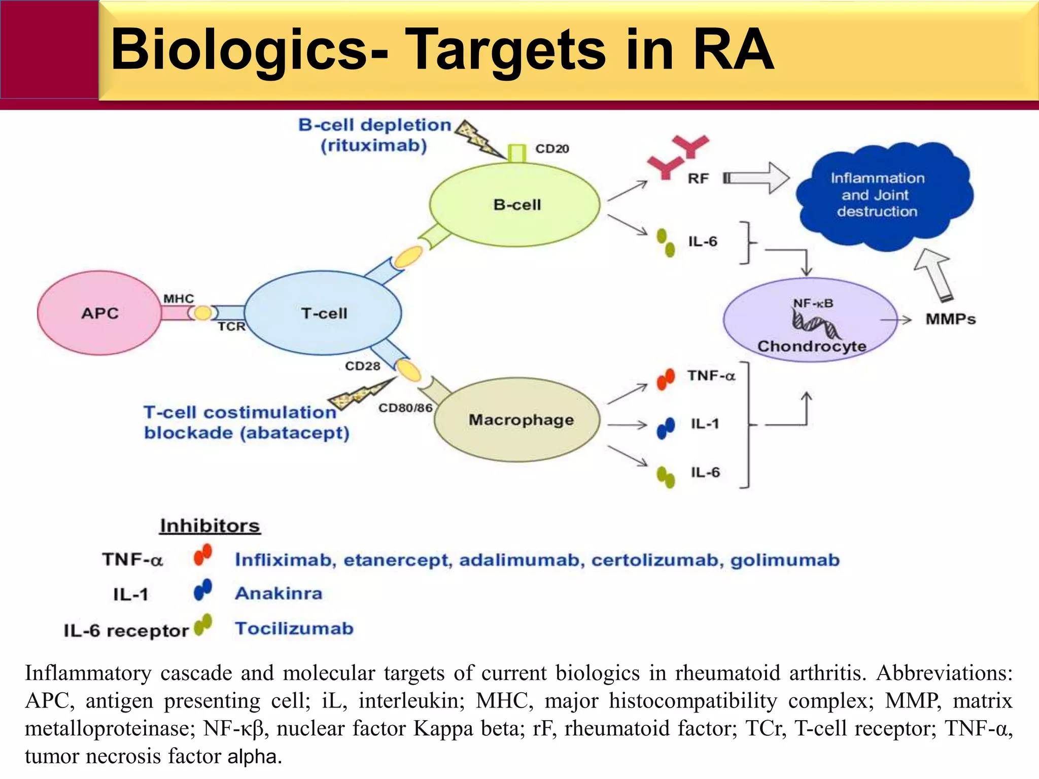 Anti-Rheumatic drugs | PPTX