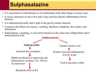 Sulphasalazine
• It is used alone in mild diseases or in combination with other drugs in severe cases.
• It causes remission in active RA and is also used for chronic inflammatory bowel
diseases.
• It is administered orally and is split in the gut by colonic bacteria.
• Common side effects are nausea, vomiting, diarrhoea, headache, skin rashes, and
leukopenia
• Sulfasalazine, a prodrug, is cleaved by bacteria in the colon into sulfapyridine and 5-
aminosalicylic acid.
 