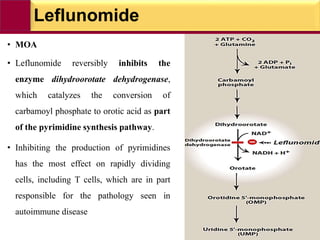 Leflunomide
• MOA
• Leflunomide reversibly inhibits the
enzyme dihydroorotate dehydrogenase,
which catalyzes the conversion of
carbamoyl phosphate to orotic acid as part
of the pyrimidine synthesis pathway.
• Inhibiting the production of pyrimidines
has the most effect on rapidly dividing
cells, including T cells, which are in part
responsible for the pathology seen in
autoimmune disease
 