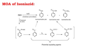 MOA of Isoniazid:
 