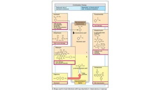 Anti tuberculosis Agents
