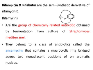 Rifampicin & Rifabutin are the semi-Synthetic derivative of
rifamycin B.
Rifamycins
• Are the group of chemically related antibiotic obtained
by fermentation from culture of Streptomyces
mediterranei.
• They belong to a class of antibiotics called the
ansamycins that contains a macrocyclic ring bridged
across two nonadjacent positions of on aromatic
nucleus.
 