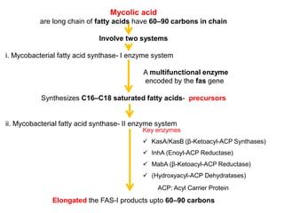 Mycolic acid
are long chain of fatty acids have 60–90 carbons in chain
Involve two systems
i. Mycobacterial fatty acid synthase- I enzyme system
Synthesizes C16–C18 saturated fatty acids- precursors
ii. Mycobacterial fatty acid synthase- II enzyme system
Elongated the FAS-I products upto 60–90 carbons
Key enzymes
 KasA/KasB (β-Ketoacyl-ACP Synthases)
 InhA (Enoyl-ACP Reductase)
 MabA (β-Ketoacyl-ACP Reductase)
 (Hydroxyacyl-ACP Dehydratases)
A multifunctional enzyme
encoded by the fas gene
ACP: Acyl Carrier Protein
 