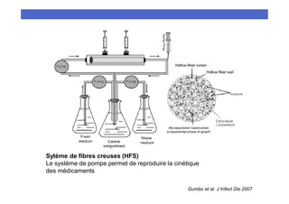 Gumbo et al. J Infect Dis 2007
Sytème de fibres creuses (HFS)
Le système de pompe permet de reproduire la cinétique
des mé...