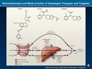 Biotransformation and Mode of Action of Clopidogrel, Prasugrel, and Ticagrelor Albert Schömig, NEJM 2009 September 4 Editorial  