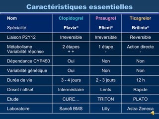 Caractéristiques essentielles Clopidogrel Plavix ® Irreversible 2 étapes + + Oui Oui 3 - 4 jours Intermédiaire CURE… Sanofi BMS Nom Spécialité Liaison P2Y12 Métabolisme Variabilité réponse Dépendance CYP450 Variabilité génétique Durée de vie Onset / offset Etude Laboratoire Prasugrel Efient ® Irreversible 1 étape - Non Non 2 - 3 jours Lents TRITON Lilly Ticagrelor Brilinta ® Reversible Action directe - Non Non 12 h Rapide PLATO Astra Zeneca 