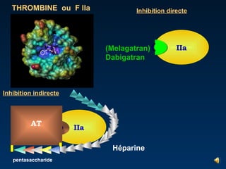 Inhibition indirecte Inhibition directe THROMBINE  ou  F IIa IIa AT IIa Héparine  pentasaccharide (Melagatran) Dabigatran 