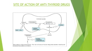SITE OF ACTION OF ANTI-THYROID DRUGS 
 