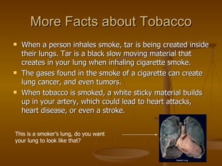 Anti-Tobacco Project