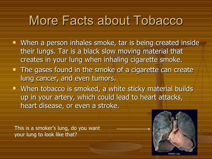 AntiTobacco Project