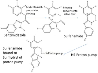 Acidic stomach
protonates
prodrug
Prodrug
converts into
active form
Benzimidazole Sulfenamide
Sulfenamide
bound to
Sulfhydryl of
proton pump
HS-Proton pump
 