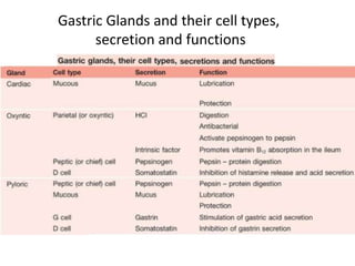 Gastric Glands and their cell types,
secretion and functions
 