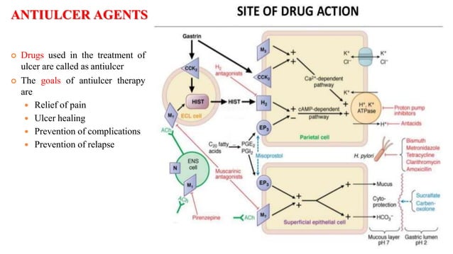 Anti ulcer drugs | PPT