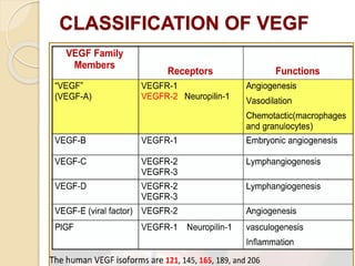 CLASSIFICATION OF VEGF
 