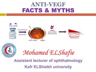 ANTI-VEGF
FACTS & MYTHS
Mohamed ELShafie
Assistant lecturer of ophthalmology
Kafr ELShiekh university
 