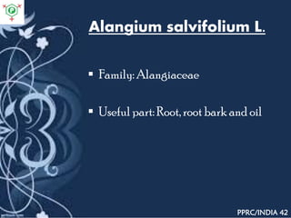 Alangium salvifolium L.
 Family: Alangiaceae
 Useful part: Root, root bark and oil
PPRC/INDIA 42
 
