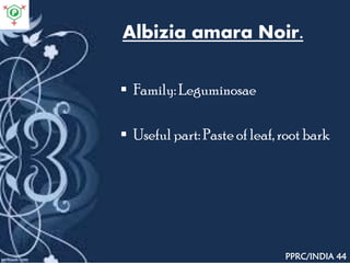 Albizia amara Noir.
 Family: Leguminosae
 Useful part: Paste of leaf, root bark
PPRC/INDIA 44
 