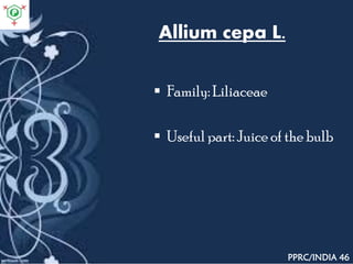 Allium cepa L.
 Family: Liliaceae
 Useful part: Juice of the bulb
PPRC/INDIA 46
 