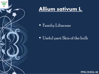 Allium sativum L.
 Family: Liliaceae
 Useful part: Skin of the bulb
PPRC/INDIA 48
 
