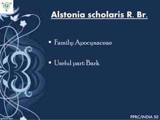 Alstonia scholaris R. Br.
 Family: Apocynaceae
 Useful part: Bark
PPRC/INDIA 50
 