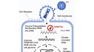 Antiviral Drugs – A Brief (Classification & Mechanism of Actions) | PDF
