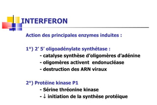 INTERFERON Action des principales enzymes induites :  1°) 2’ 5’ oligoadénylate synthétase : - catalyse synthèse d’oligomères d’adénine - oligomères activent  endonucléase - destruction des ARN viraux 2°) Protéine kinase P1 - Sérine thréonine kinase -    initiation de la synthèse protéique 
