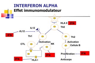 INTERFERON ALPHA Effet immunomodulateur IFN IFN IFN IFN HLA II Th0 Th2 Activation Cellule B Prolifération  Anticorps IFN Activation IL12 rIL12 Th1 CTL NK HLA I 