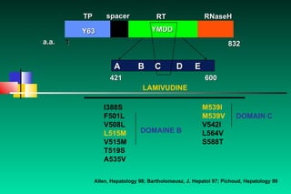 I388S F501L V508L L515M V515M T519S A535V M539I M539V V542I L564V  S588T LAMIVUDINE DOMAINE B DOMAIN C 832 RNaseH RT TP spacer Y63 1 a.a.  421 600 YMDD  A   B  C D E Allen, Hepatology 98; Bartholomeusz, J. Hepatol 97; Pichoud, Hepatology 99 