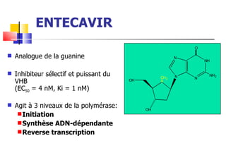 ENTECAVIR Analogue de la guanine  Inhibiteur sélectif et puissant du VHB (EC 50  = 4 nM, Ki = 1 nM)    Agit à 3 niveaux de la polymérase: Initiation Synthèse ADN-dépendante Reverse transcription 