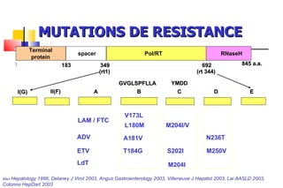 MUTATIONS DE RESISTANCE 845 a.a.  Terminal protein spacer Pol/RT RNaseH A B C E D  1 183 349 692  YMDD V173L L180M   M204I/V GVGLSPFLLA I(G) II(F)  (rt1) (rt 344) LAM / FTC ETV T184G  S202I  M250V ADV A181V N236T LdT M204I Allen  Hepatology 1998, Delaney J Virol 2003, Angus Gastroenterology 2003, Villeneuve J Hepatol 2003, Lai AASLD 2003, Colonno HepDart 2003 