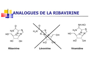 ANALOGUES DE LA RIBAVIRINE Viramidine Lévovirine Ribavirine O N O H H O H O N N H 2 N NH.HCl N N N H 2 N O O H O O H O H O N O H H O H O N N H 2 N O 