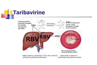 Taribavirine 