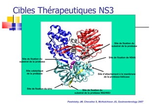 Cibles Thérapeutiques NS3 Site de fixation du substrat de la protéase Site catalytique de la protéase Site de fixation du zinc Site de fixation du substrat de la protéase  NS2/NS3 Site d’attachement à la membrane de la protéase-hélicase Site de fixation du substrat de la protéase Site de fixation de NS4A Pawlotsky JM, Chevaliez S, McHutchison JG, Gastroenterology 2007 
